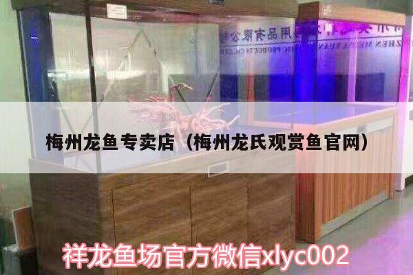 梅州龙鱼专卖店（梅州龙氏观赏鱼官网）