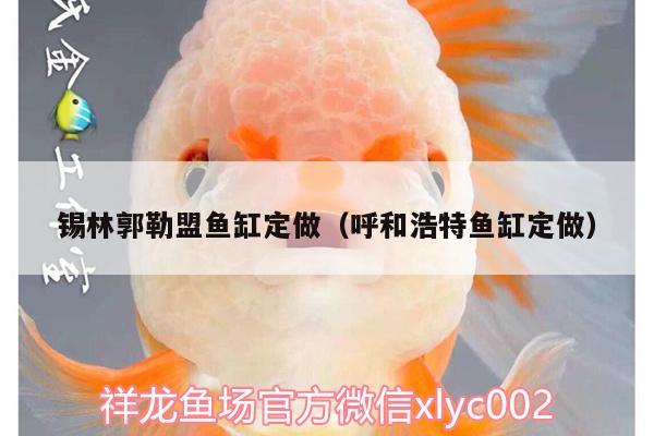 锡林郭勒盟鱼缸定做（呼和浩特鱼缸定做） 水族品牌