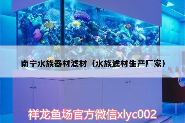 南宁水族器材滤材（水族滤材生产厂家） 白子银龙鱼苗