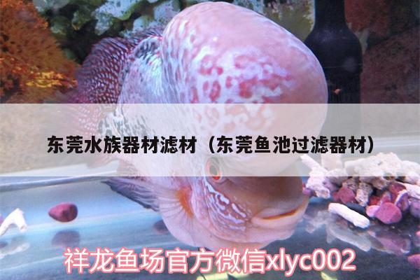 东莞水族器材滤材（东莞鱼池过滤器材）