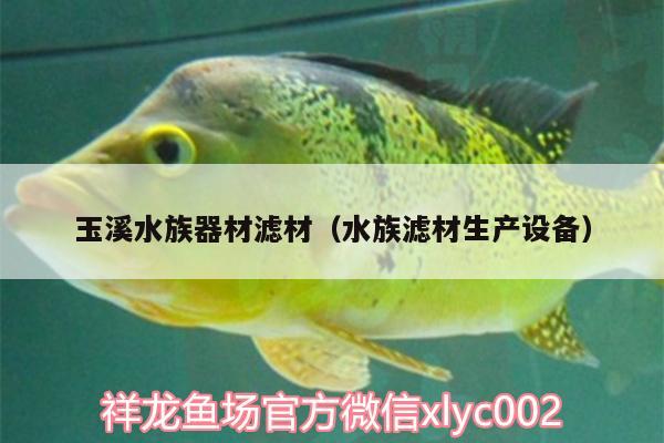 玉溪水族器材滤材（水族滤材生产设备） 龙鱼批发