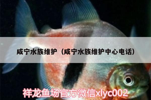 咸宁水族维护（咸宁水族维护中心电话）