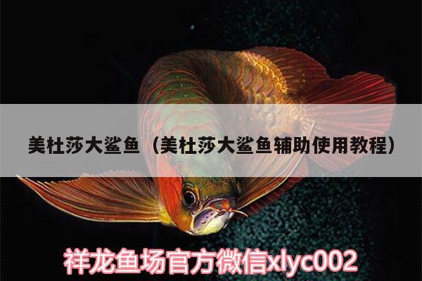 美杜莎大鲨鱼（美杜莎大鲨鱼辅助使用教程） 黄金猫鱼 第2张