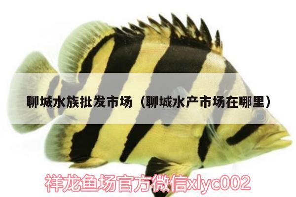 聊城水族批发市场（聊城水产市场在哪里） 观赏鱼水族批发市场 第2张