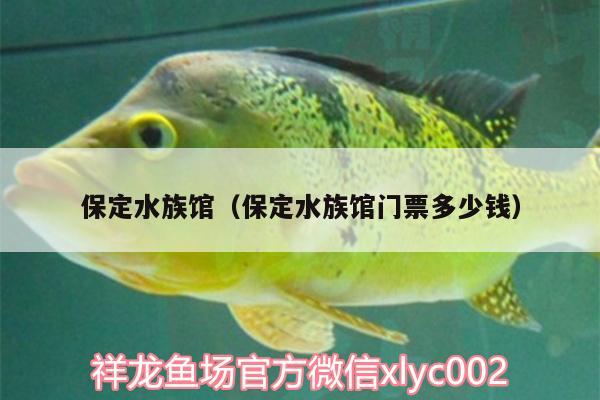 保定水族馆（保定水族馆门票多少钱）