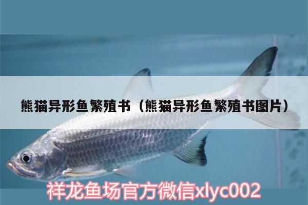 熊猫异形鱼繁殖书（熊猫异形鱼繁殖书图片） 杀菌消毒设备