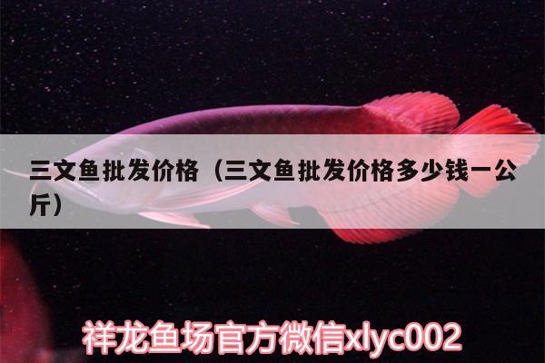 三文鱼批发价格（三文鱼批发价格多少钱一公斤） 非洲金鼓鱼