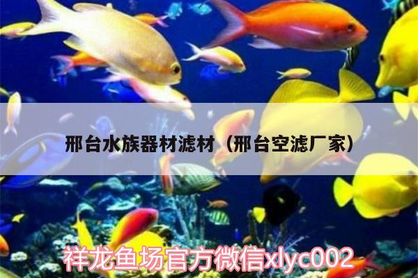 邢台水族器材滤材（邢台空滤厂家）