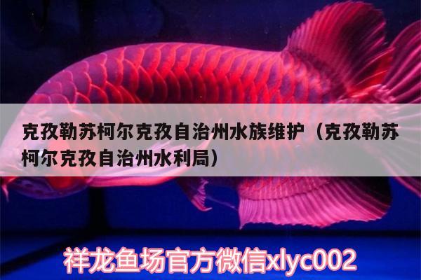 克孜勒苏柯尔克孜自治州水族维护（克孜勒苏柯尔克孜自治州水利局）