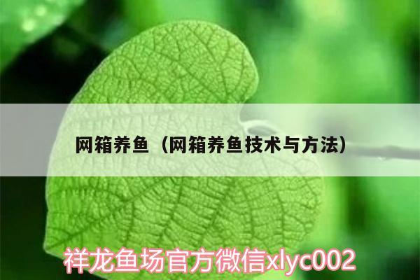 网箱养鱼（网箱养鱼技术与方法） 其它水族用具设备