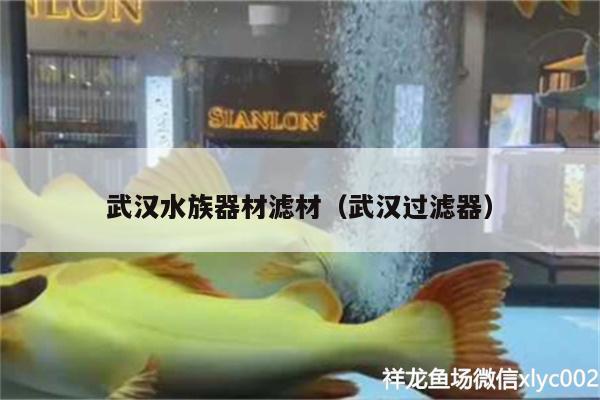 武汉水族器材滤材（武汉过滤器）