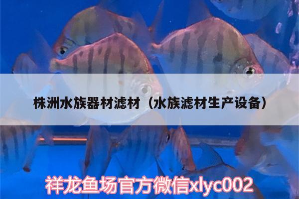 株洲水族器材滤材（水族滤材生产设备）