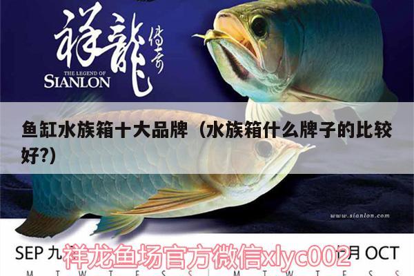 鱼缸水族箱十大品牌（水族箱什么牌子的比较好?） 鱼缸/水族箱