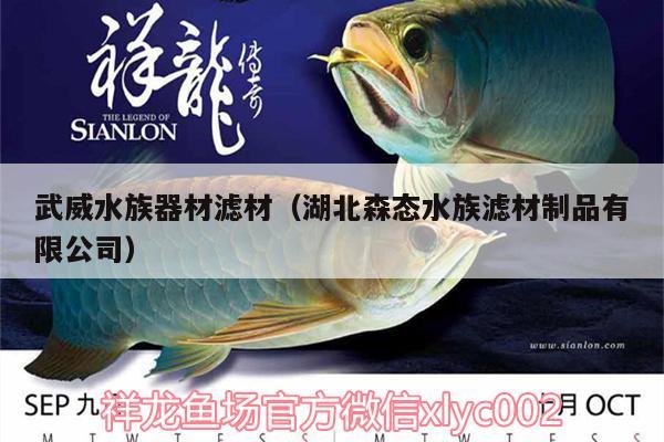 武威水族器材滤材（湖北森态水族滤材制品有限公司） 三间鼠鱼