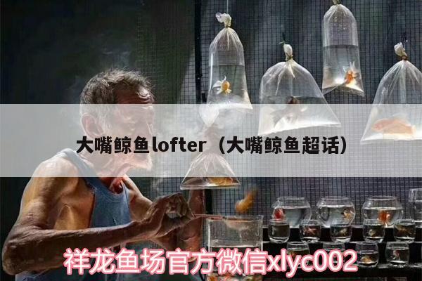 大嘴鲸鱼lofter（大嘴鲸鱼超话）