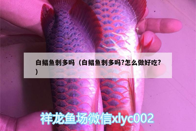 白鲳鱼刺多吗（白鲳鱼刺多吗?怎么做好吃?） 金三间鱼