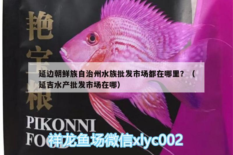 延边朝鲜族自治州水族批发市场都在哪里？（延吉水产批发市场在哪）