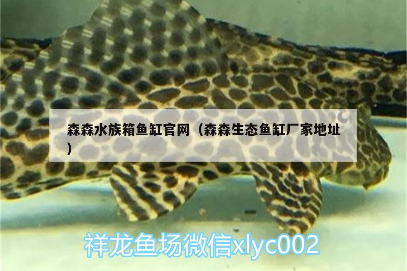 森森水族箱鱼缸官网（森森生态鱼缸厂家地址）