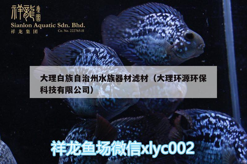 大理白族自治州水族器材滤材（大理环源环保科技有限公司） 野彩鱼