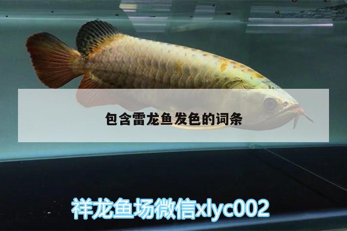 包含雷龙鱼发色的词条 广州水族器材滤材批发市场