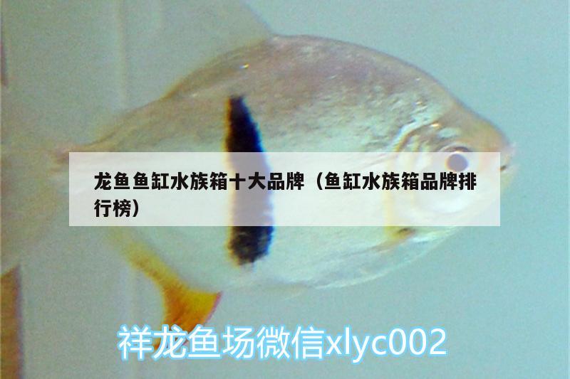 龙鱼鱼缸水族箱十大品牌（鱼缸水族箱品牌排行榜）