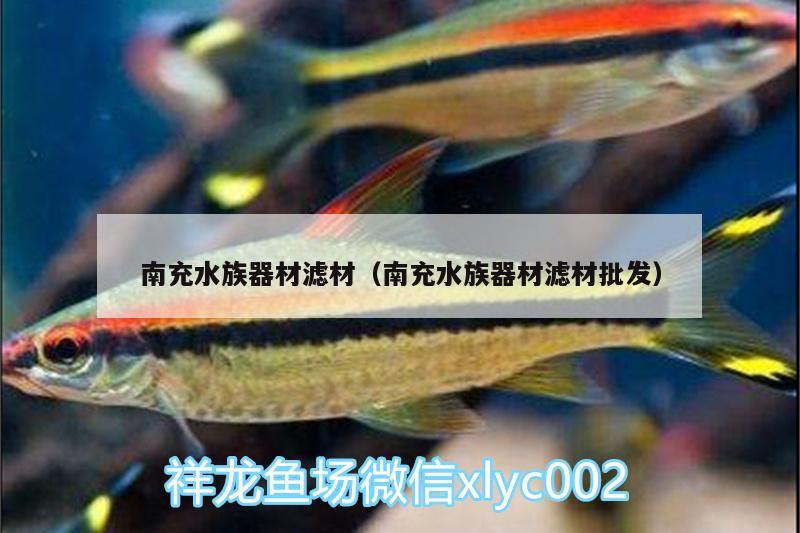 南充水族器材滤材（南充水族器材滤材批发） 古典过背金龙鱼