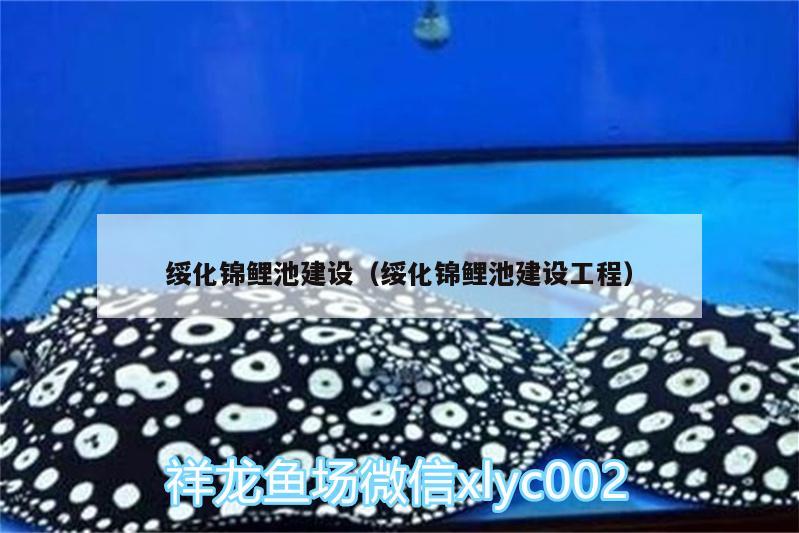 绥化锦鲤池建设（绥化锦鲤池建设工程） 广州水族器材滤材批发市场