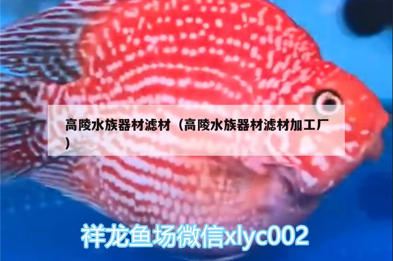 高陵水族器材滤材（高陵水族器材滤材加工厂） 虎鱼百科 第2张