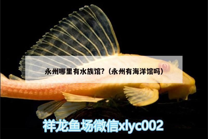 永州哪里有水族馆?（永州有海洋馆吗） 名贵锦鲤鱼