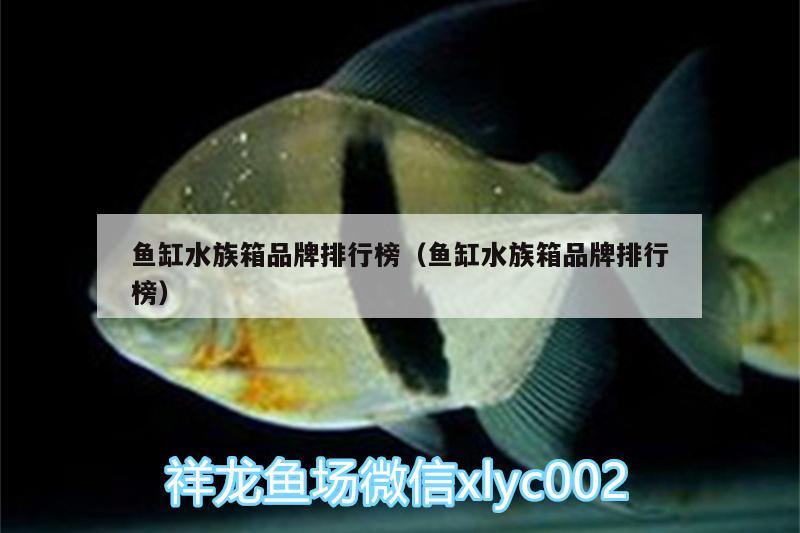 鱼缸水族箱品牌排行榜（鱼缸水族箱品牌排行榜） 鱼缸/水族箱