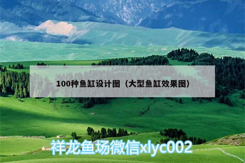 100种鱼缸设计图（大型鱼缸效果图） 其它水族用具设备