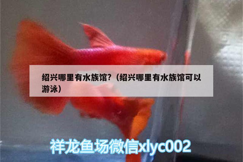 绍兴哪里有水族馆?（绍兴哪里有水族馆可以游泳）