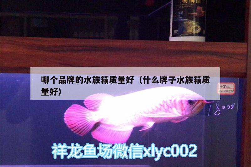 哪个品牌的水族箱质量好（什么牌子水族箱质量好）