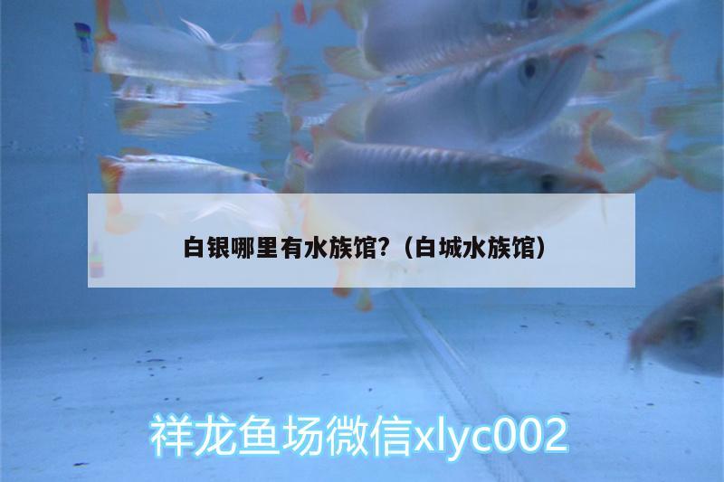 白银哪里有水族馆?（白城水族馆）