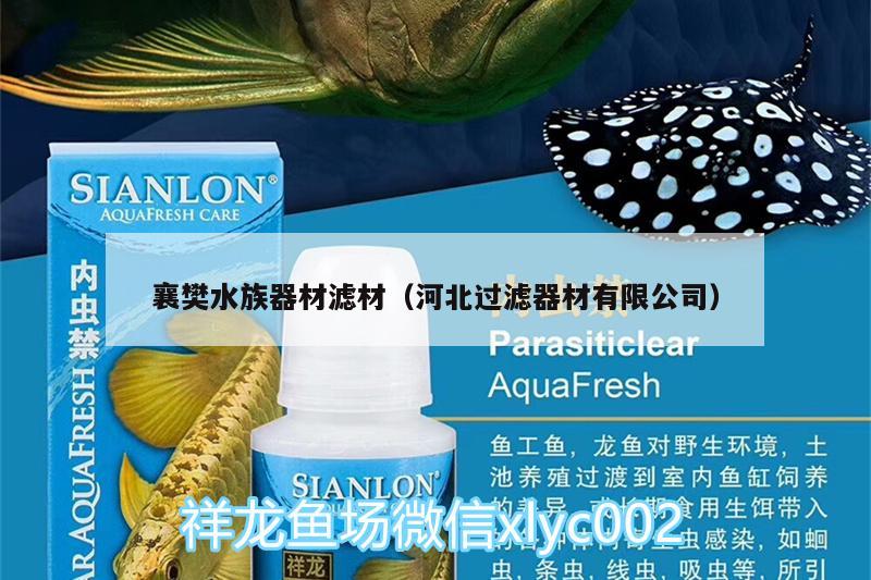 襄樊水族器材滤材（河北过滤器材有限公司） 双线侧鱼