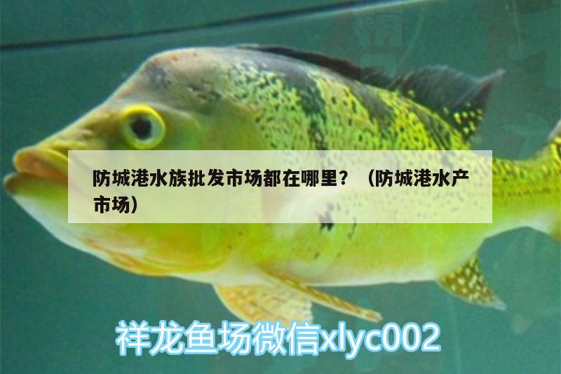 防城港水族批发市场都在哪里？（防城港水产市场）