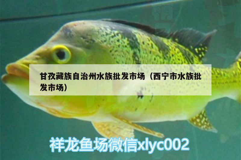 甘孜藏族自治州水族批发市场（西宁市水族批发市场）