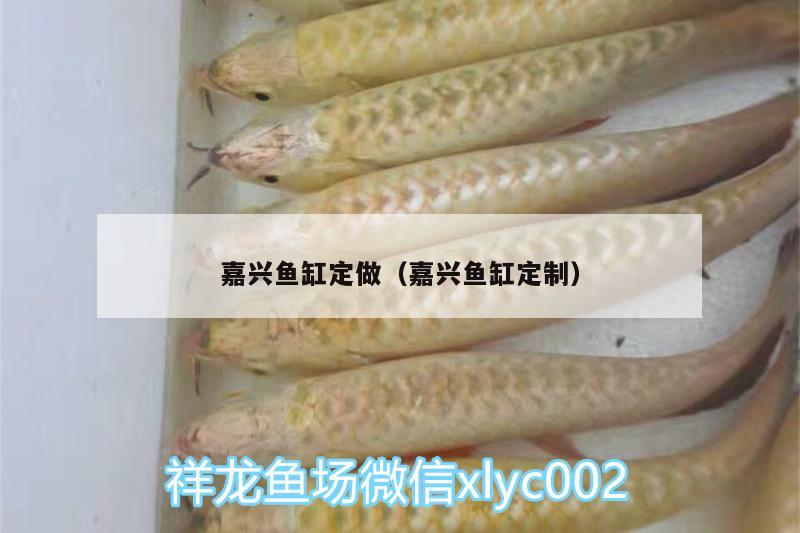 嘉兴鱼缸定做（嘉兴鱼缸定制） 喷点菠萝鱼