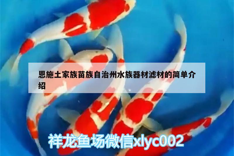 恩施土家族苗族自治州水族器材滤材的简单介绍 皇冠黑白魟鱼