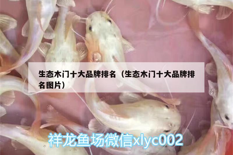 生态木门十大品牌排名（生态木门十大品牌排名图片） 眼斑鱼