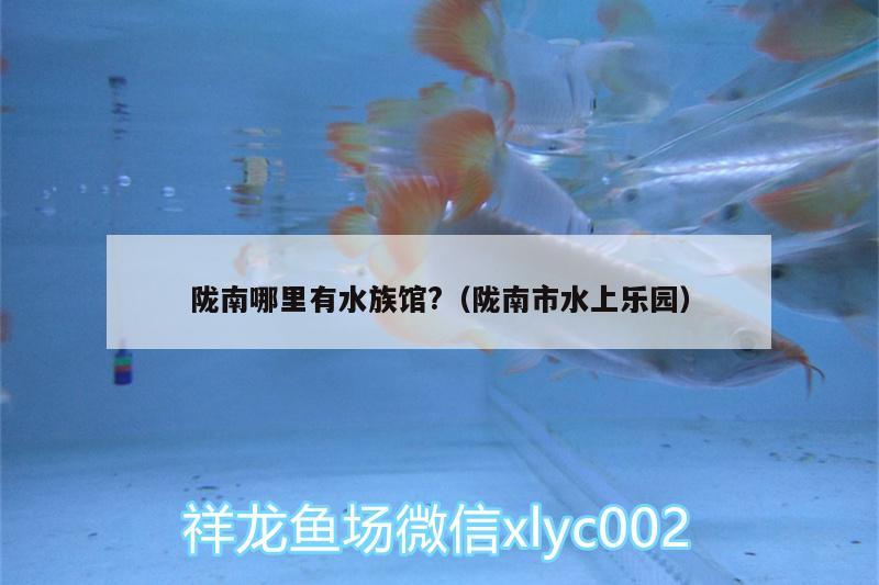 陇南哪里有水族馆?（陇南市水上乐园） 帝王血钻鱼