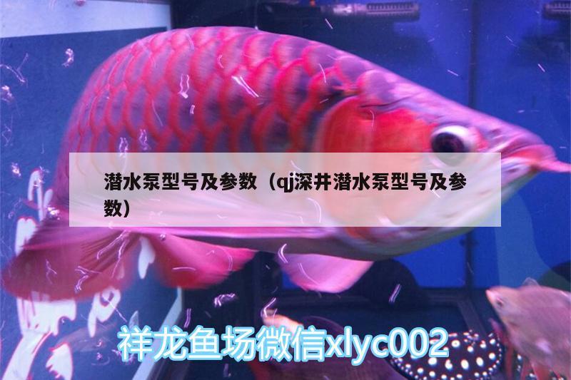 潜水泵型号及参数（qj深井潜水泵型号及参数） 南美异型鱼