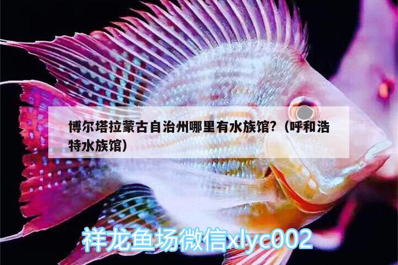 博尔塔拉蒙古自治州哪里有水族馆?（呼和浩特水族馆） 锦鲤鱼