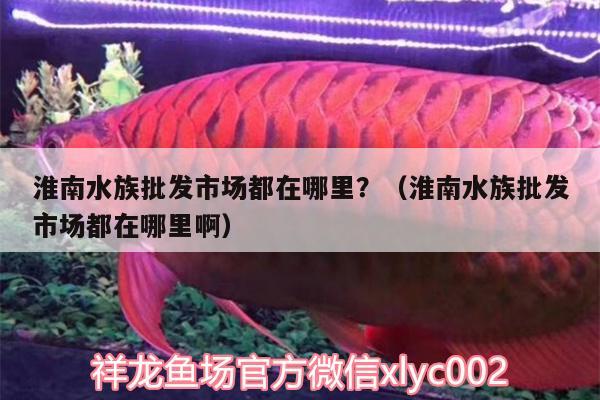 淮南水族批发市场都在哪里？（淮南水族批发市场都在哪里啊）