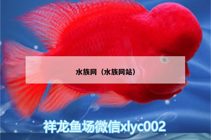 水族网（水族网站） 广州水族批发市场