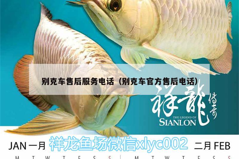 别克车售后服务电话（别克车官方售后电话） 祥龙龙鱼专用水族灯