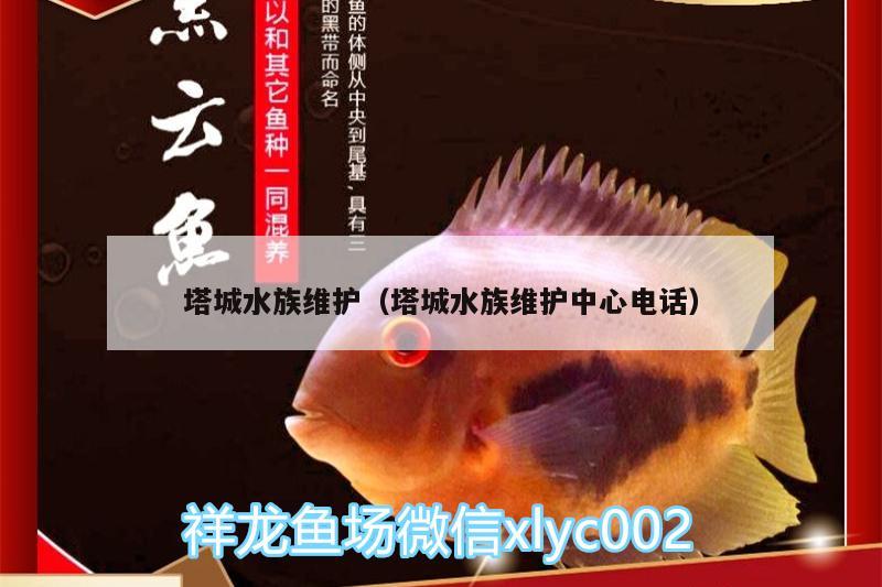 塔城水族维护（塔城水族维护中心电话） 巴西亚鱼