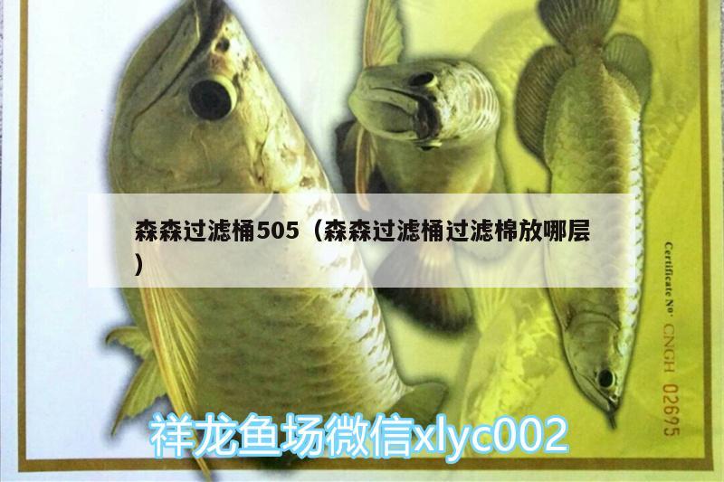 森森过滤桶505（森森过滤桶过滤棉放哪层）