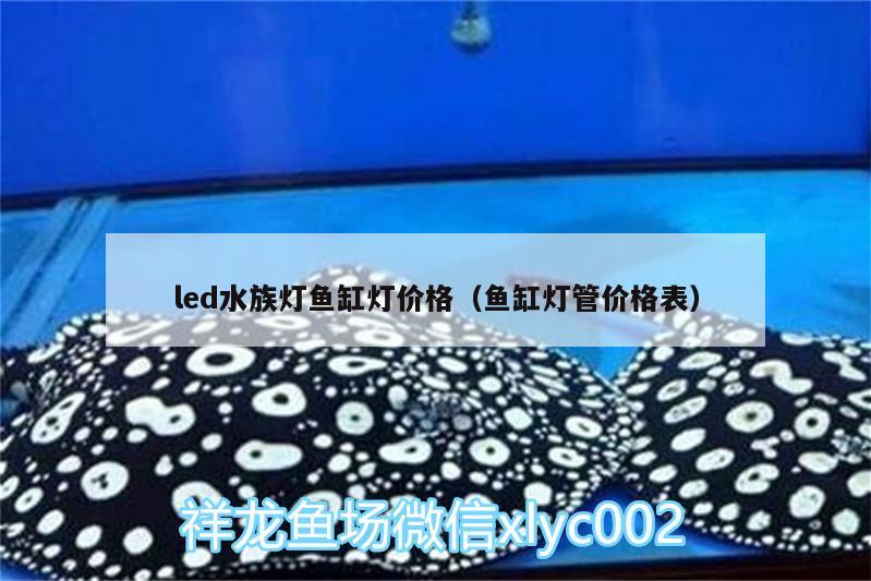 led水族灯鱼缸灯价格（鱼缸灯管价格表）