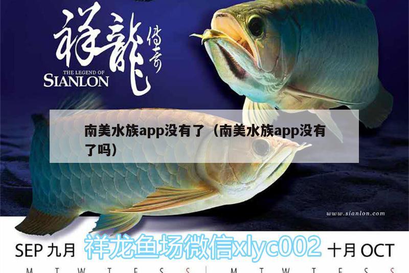 南美水族app没有了（南美水族app没有了吗） 白子黑帝王魟鱼